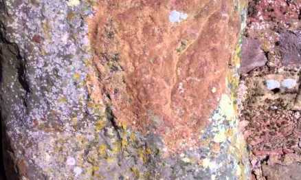 tourscotland's tweet photo. Tour #Scotland travel Blog of the #Pictish #Symbol #Stone on #ancestry, #genealogy, #history visit and trip to #Strathmiglo, #Fife. This symbol stone is located outside on the cemetery wall https://t.co/vKFO8zdazo https://t.co/0KswCj0PhZ