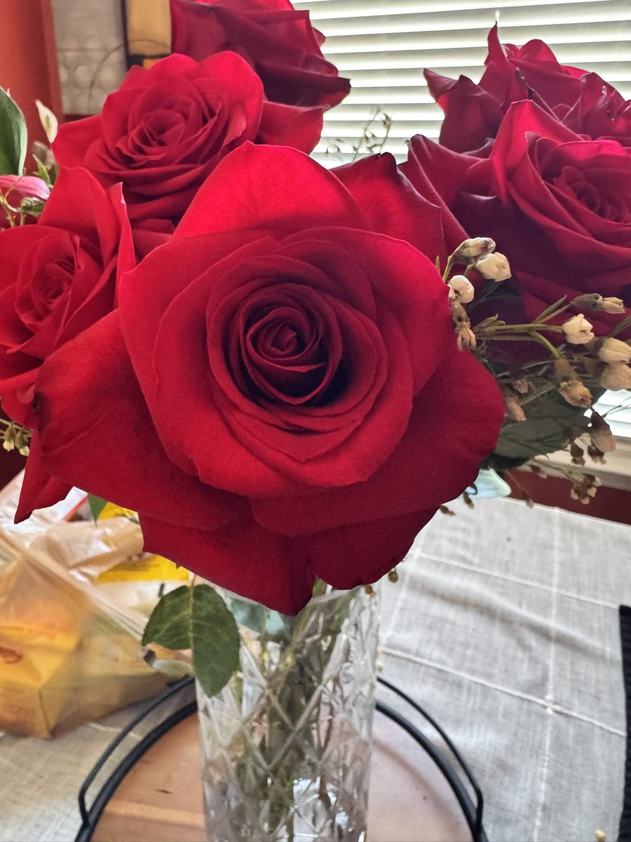 SmirkReads's tweet photo. Love a pretty rose 🥰 https://t.co/XVMAalyoq0