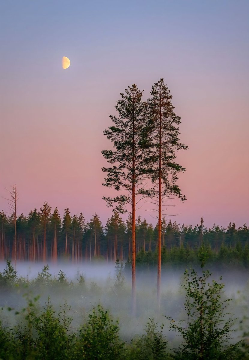 Luci@ 💎 tweet media