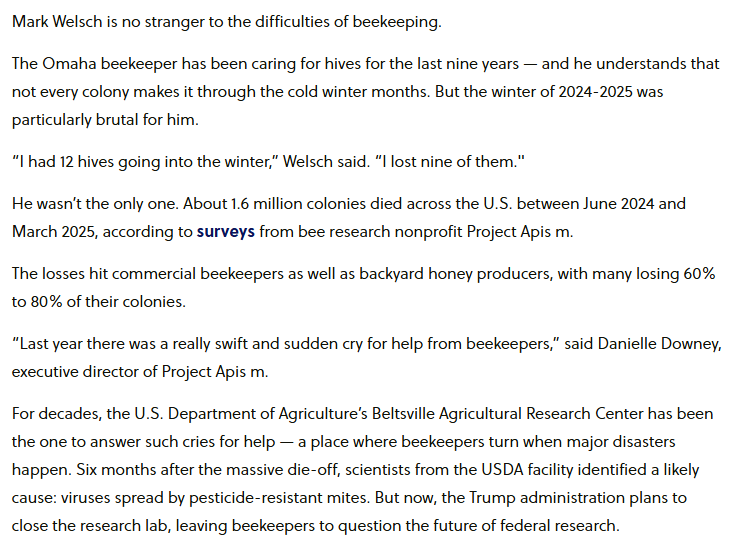 Nick Kapur tweet media