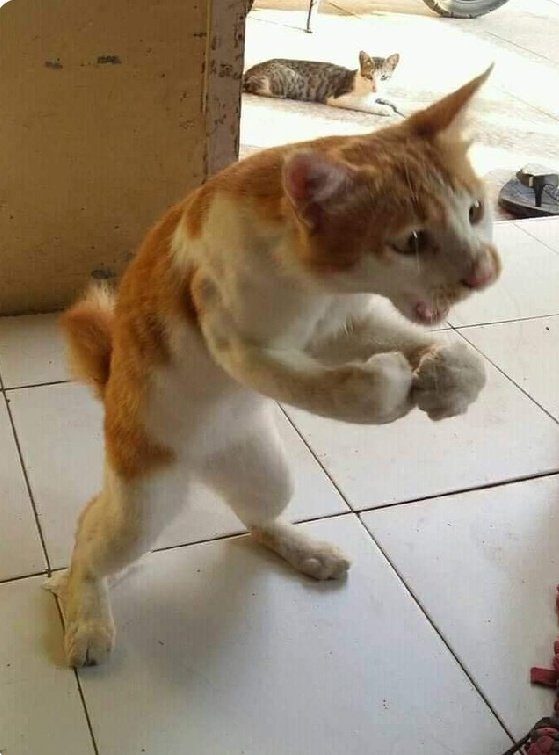 wanandonga👥 tweet media