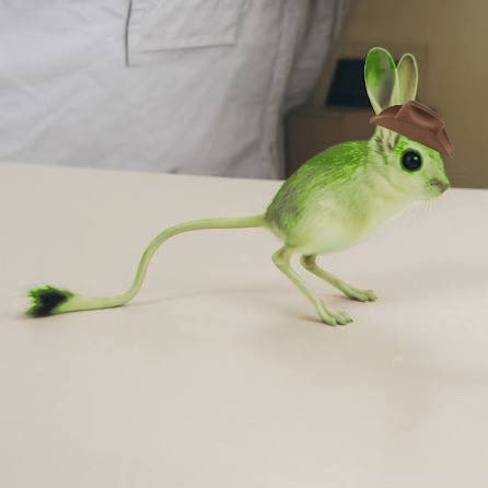 Grang The Greboa tweet media