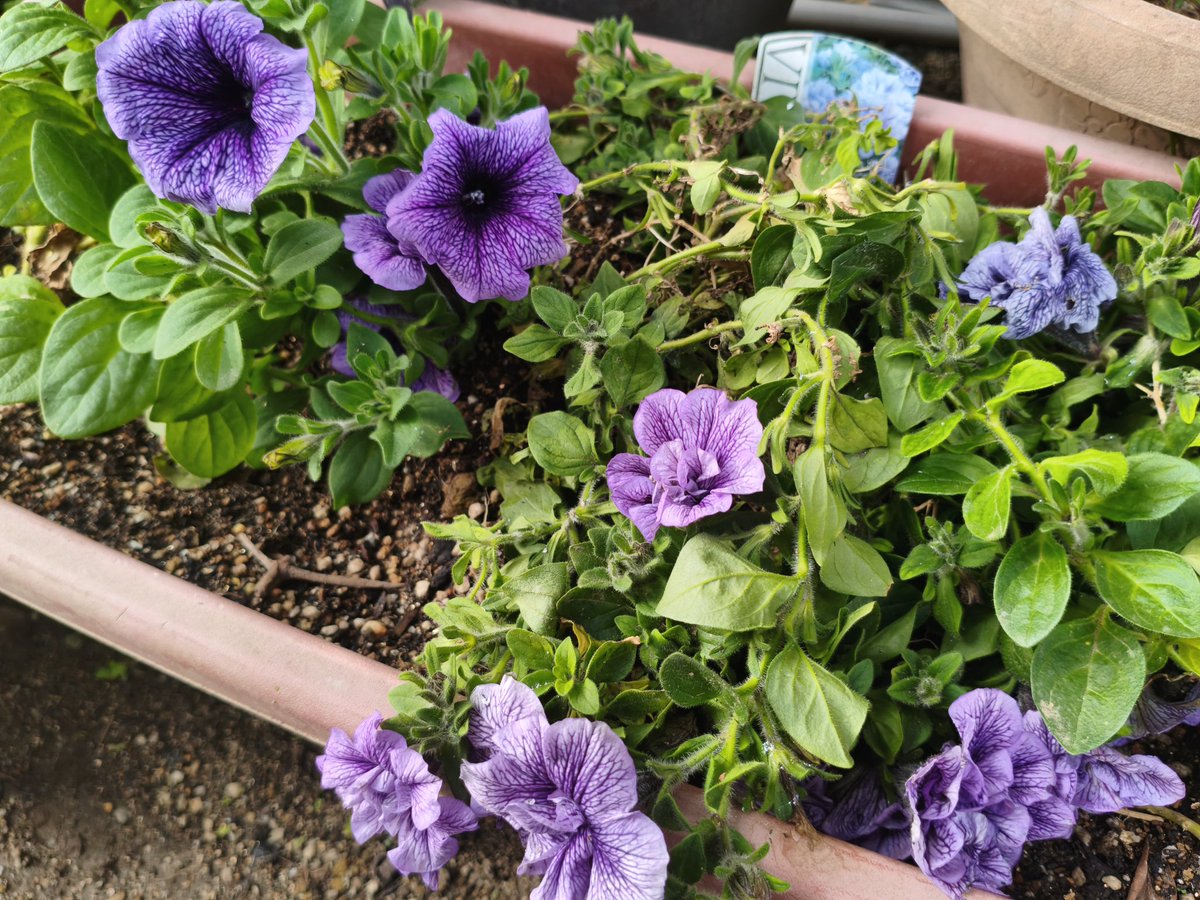 濱ちゃん🤣 tweet media