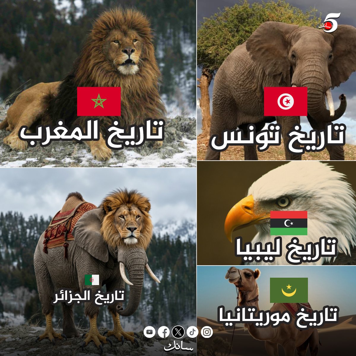 سانك tweet media