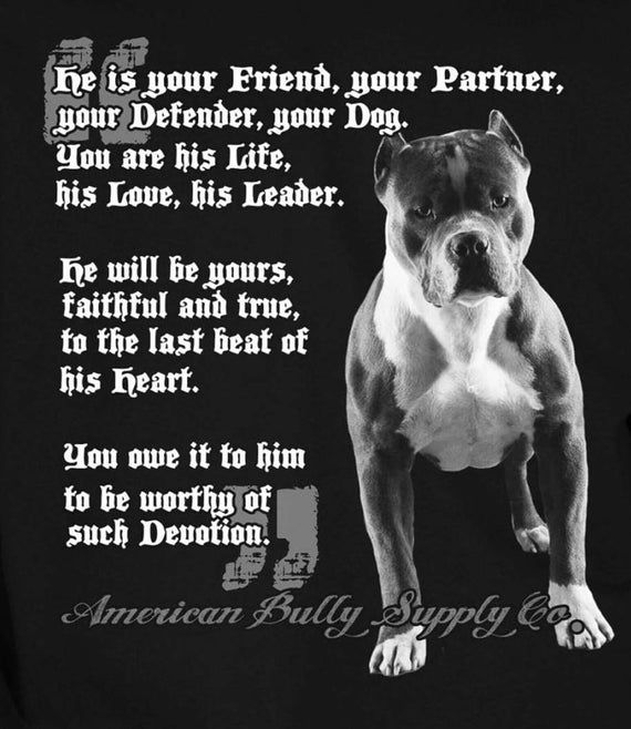 Pit Bulls Against Discrimination tweet media