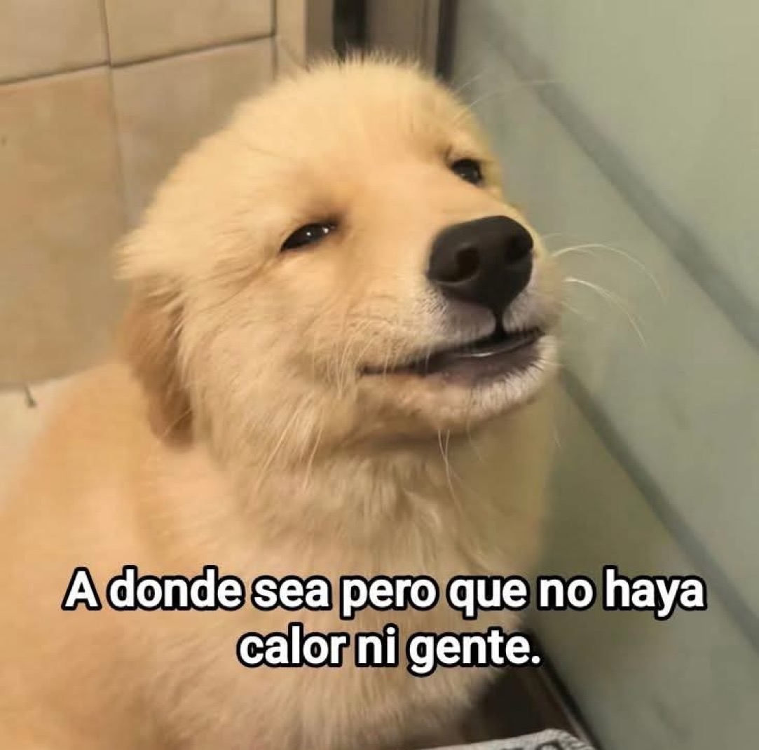 Guarromantico_'s tweet photo. A donde sea. https://t.co/cjEWWyFxda