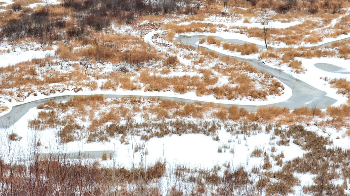 Ontario Parks NE tweet media