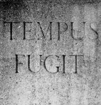 Tempus fugit — “Time flies.”