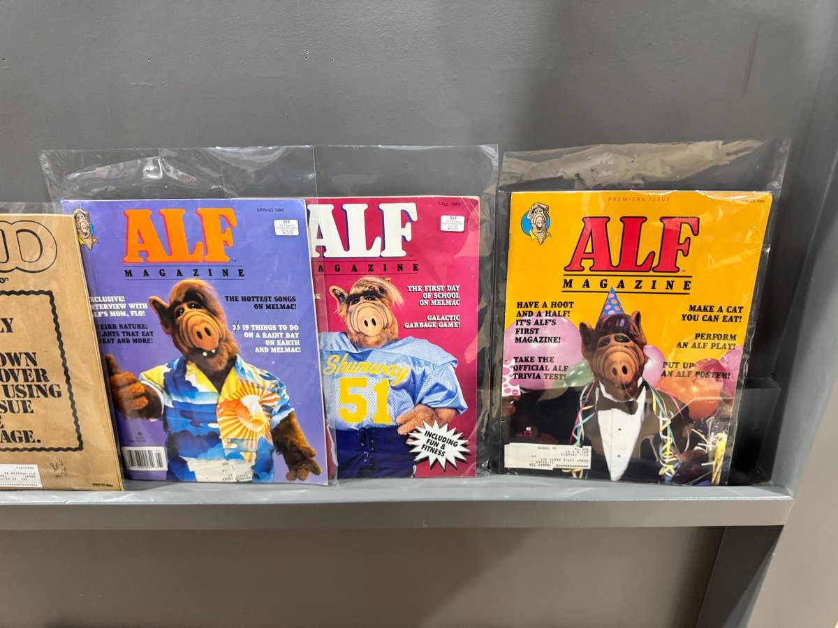 Rob (Flack) O'Hara tweet media