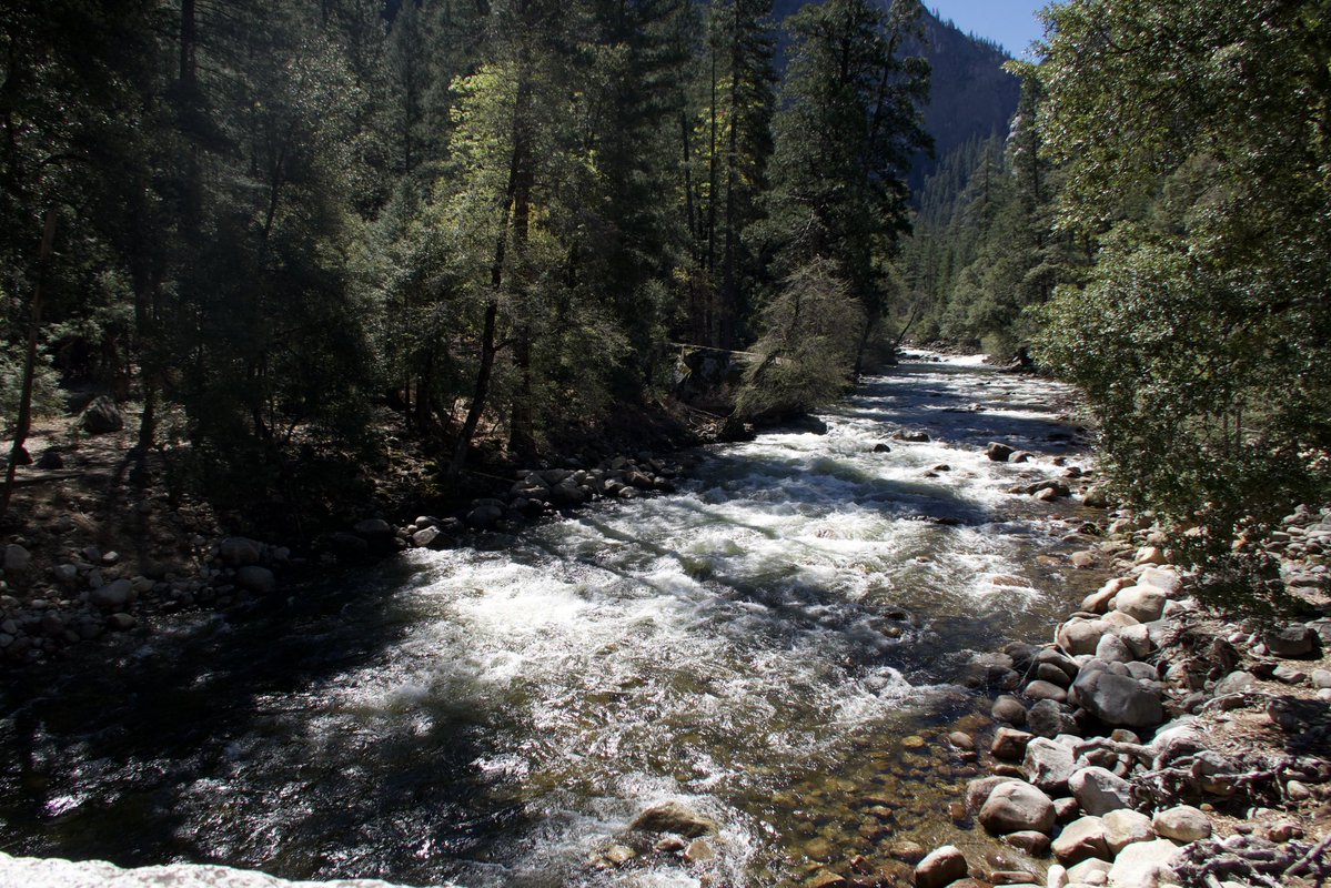 ✮⋆˙ tweet media