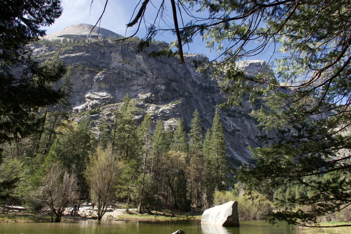 ✮⋆˙ tweet media