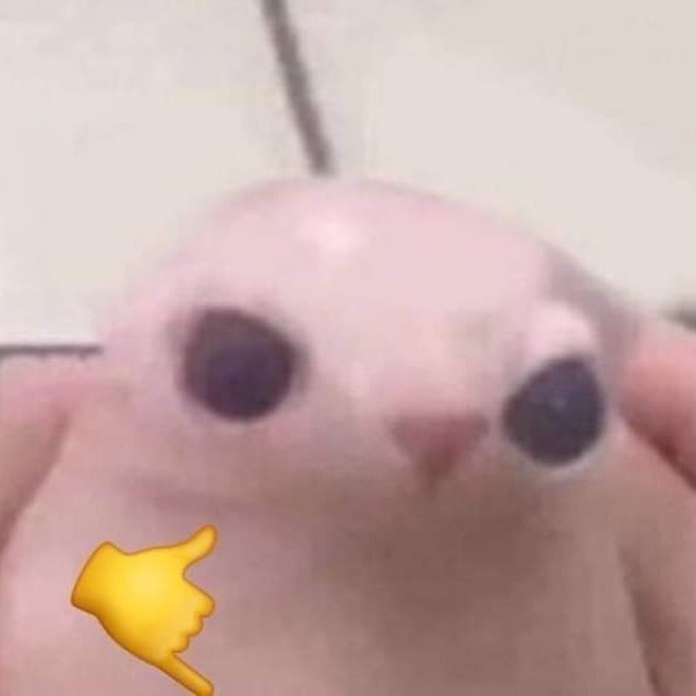 KendoMurft tweet media