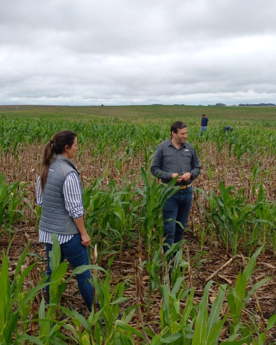 Agromil tweet media