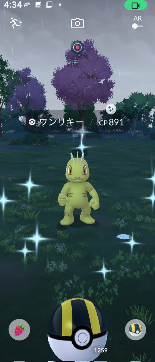 レオン tweet media