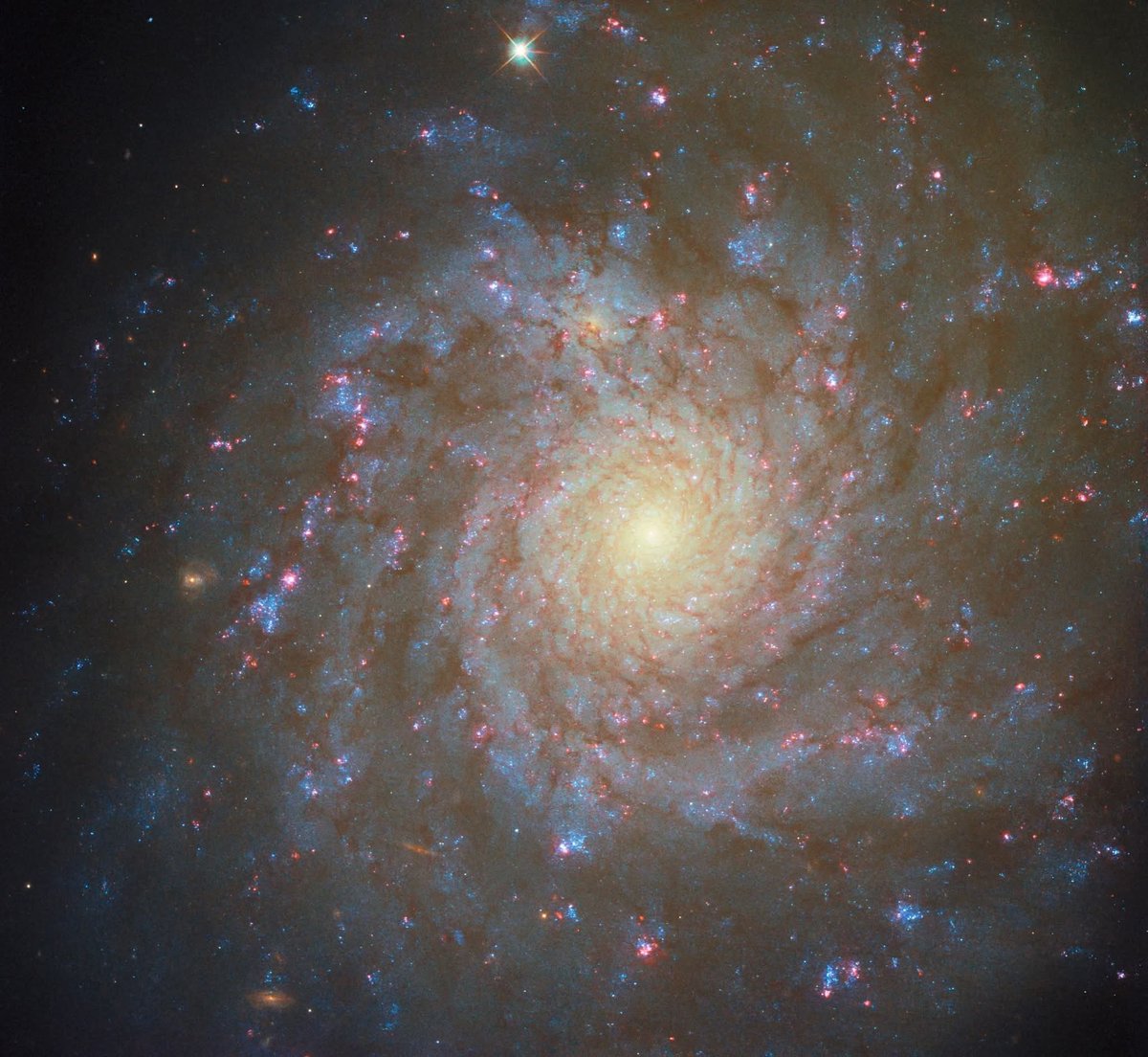 NGC 4571, a graceful spiral galaxy some 60 million light-years away, glittering with countless stars.

Dusky arms traced by dust and gas, lit by bright pink star-forming clouds where new stars ignite.

(Credit: ESA/Hubble &amp; NASA, F. Belfiore, J. Lee and the PHANGS-HST Team)