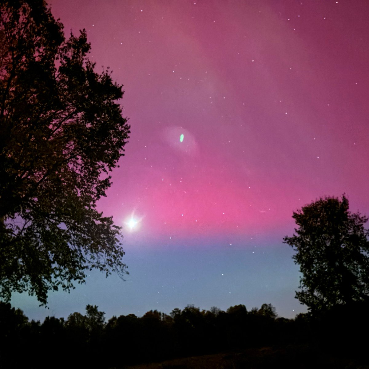 MurphysPointPP's tweet photo. The next stop on our colour walk is pink!

Pink is positive and vivacious. Pink reminds us of evenings spent watching the sun set, strawberry ice cream from the park store and colourful wildflowers spotted in field and forest.

#OntarioParks #ColourWalk https://t.co/DkZhddk699
