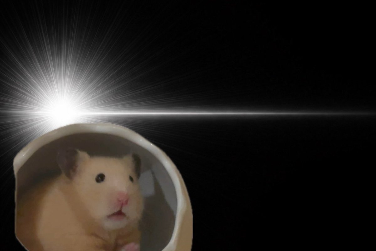 ᐢ•ω•ᐢ tweet media