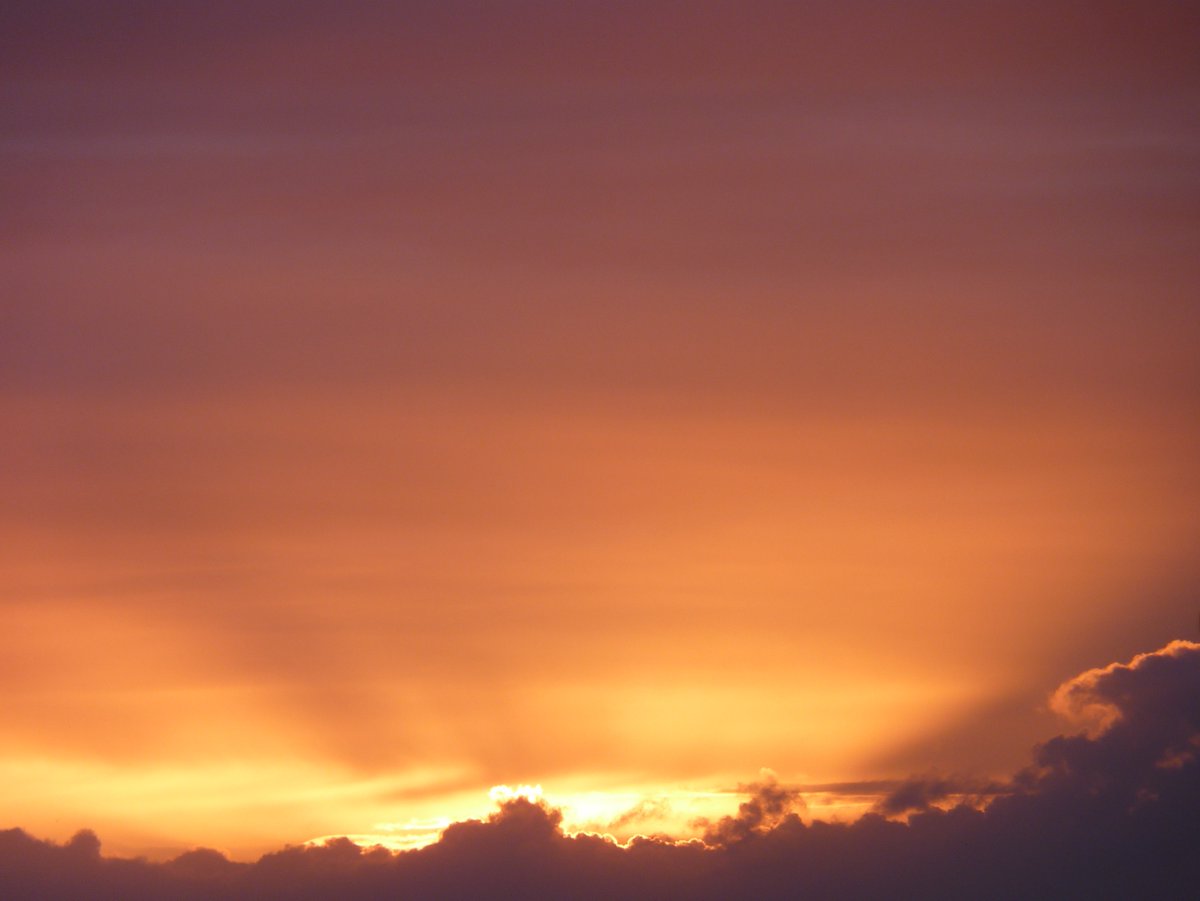 Mary Chained tweet media