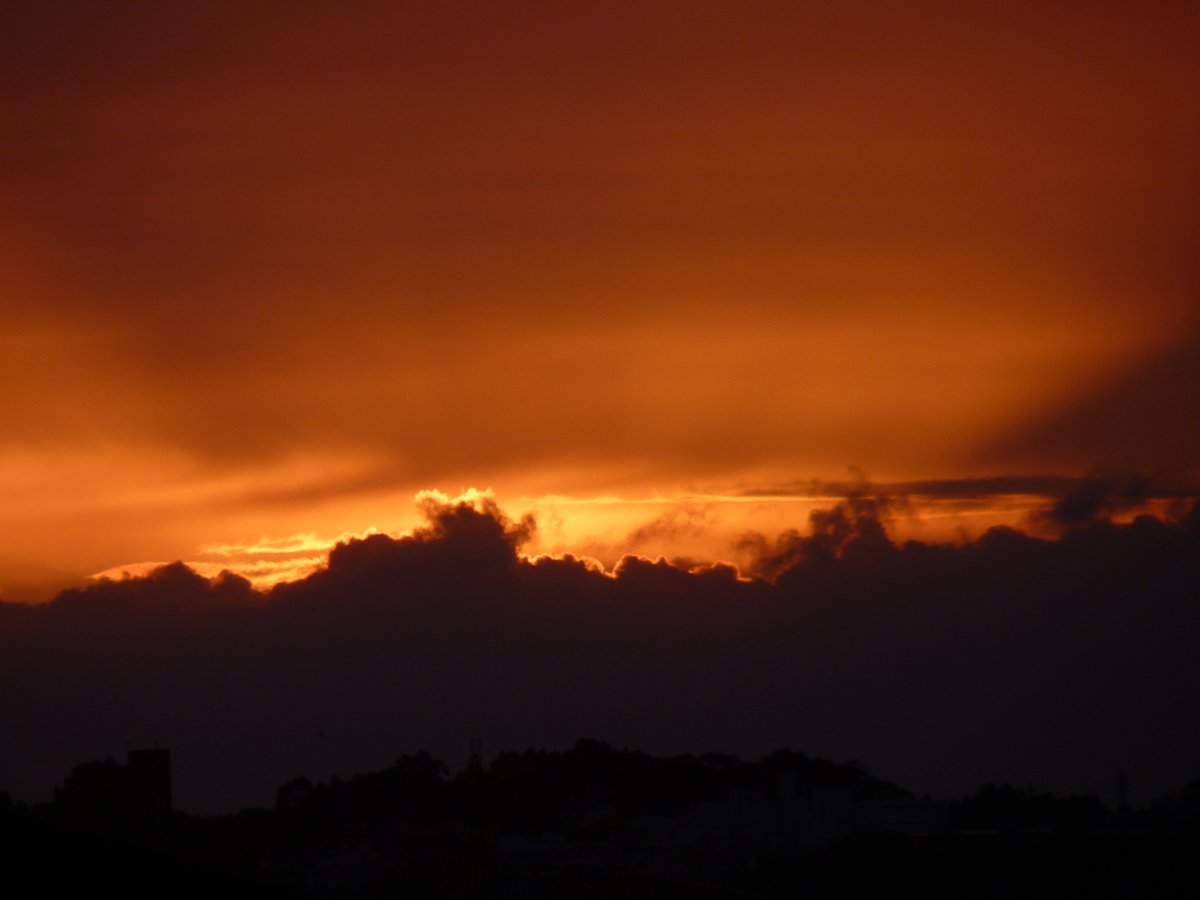 Mary Chained tweet media