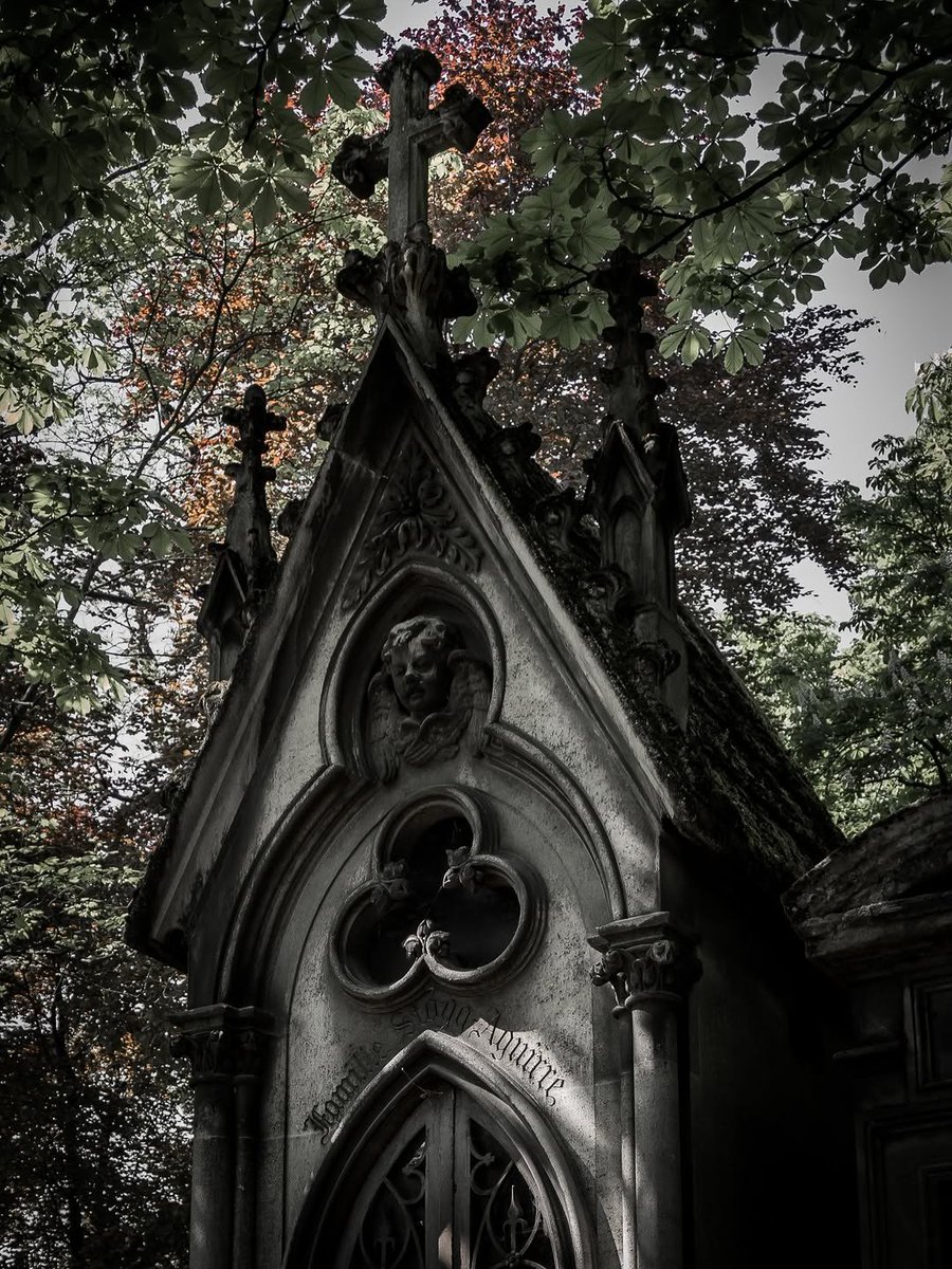 𝖁𝖆𝖒𝖕𝖞𝖗𝖎𝖆 𓋹 tweet media