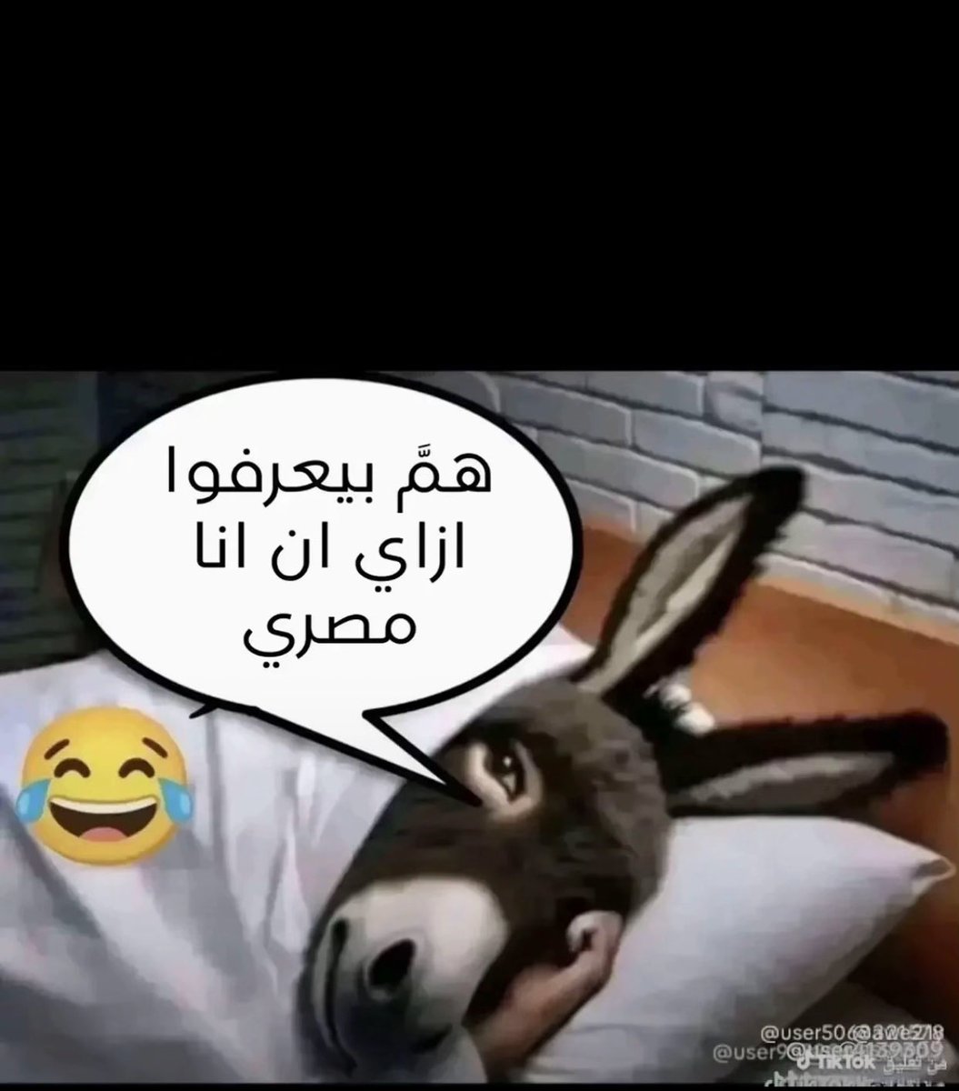 دلال العواد tweet media