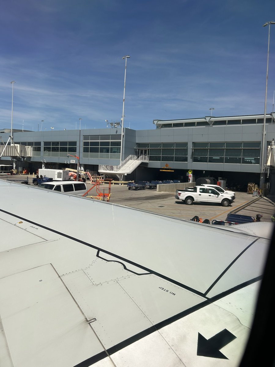 Gori 🔜 Furlandia tweet media