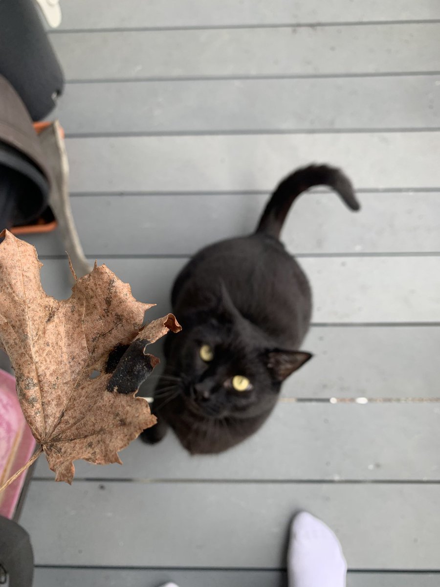 Jam جميلة tweet media