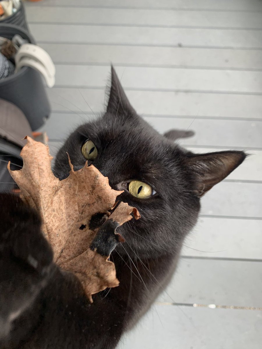 Jam جميلة tweet media