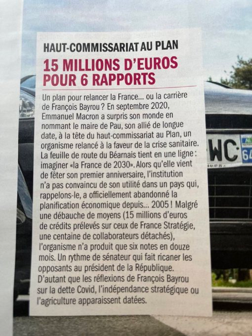 Fleur Morel tweet media