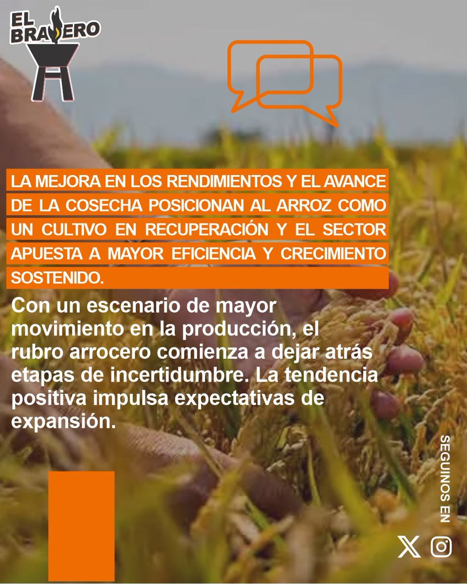 ElBraseroPy tweet media