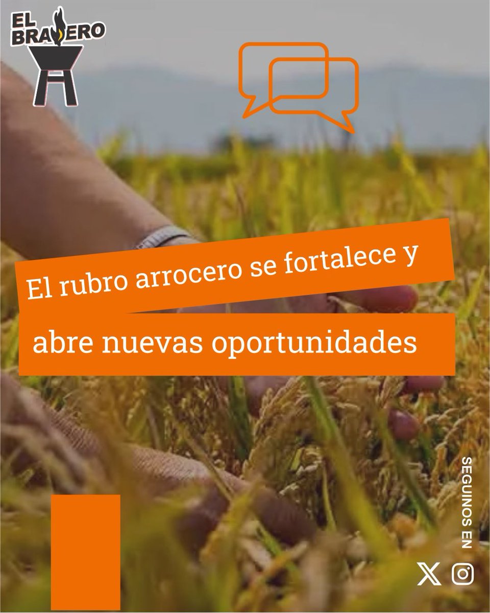 ElBraseroPy tweet media