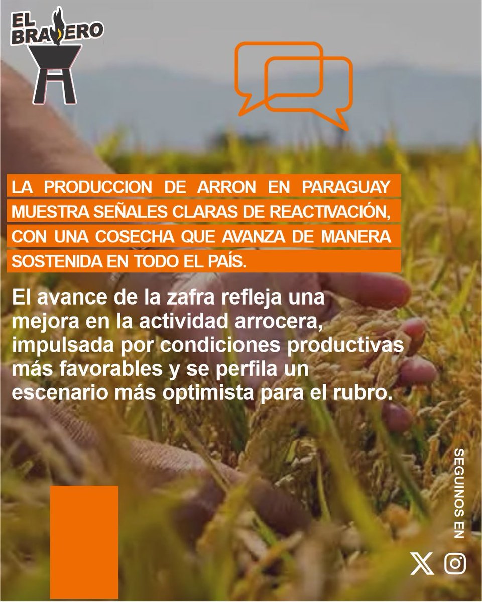 ElBraseroPy tweet media