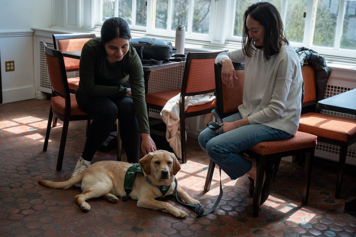 Princeton's tweet photo. 🎉 Celebrating @PrincetonGrad students during #GradStudentAppreciationWeek with crafts, smoothies, and puppies.

Here's the full list of events for students to take a break, connect with one another, and enjoy some well-deserved gratitude: https://t.co/yAVIbYd3f4 https://t.co/FaR29LwPNJ