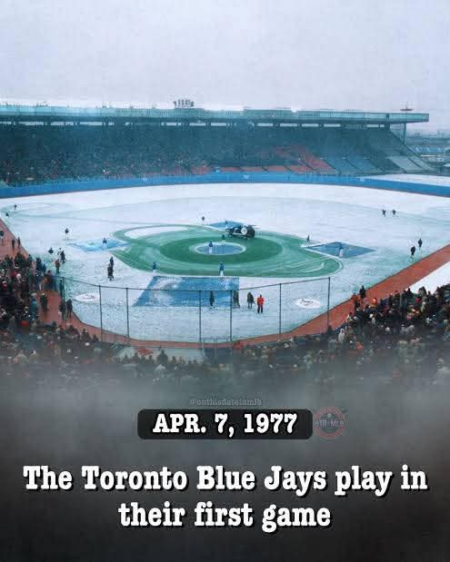 Dan the man 🇨🇦 🏒🏖 tweet media