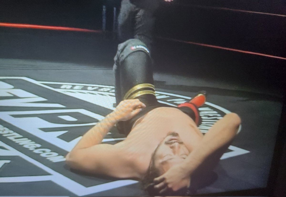 ₊⁺ 𝐢𝐥𝐲 𝐲𝐨𝐭𝐚-𝐬𝐚𝐦𝐚. 🐹 tweet media