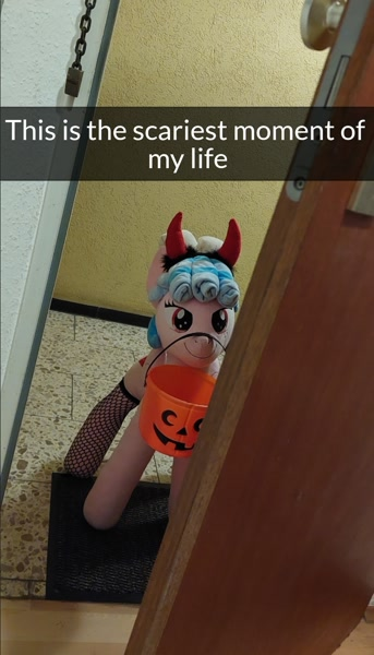 Sylvester Gnomicki tweet media