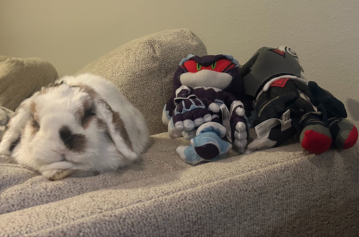 🖤MephyInfi🖤 tweet media