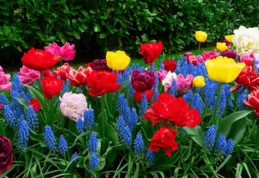 黒まんぼう 😂✌️ tweet media