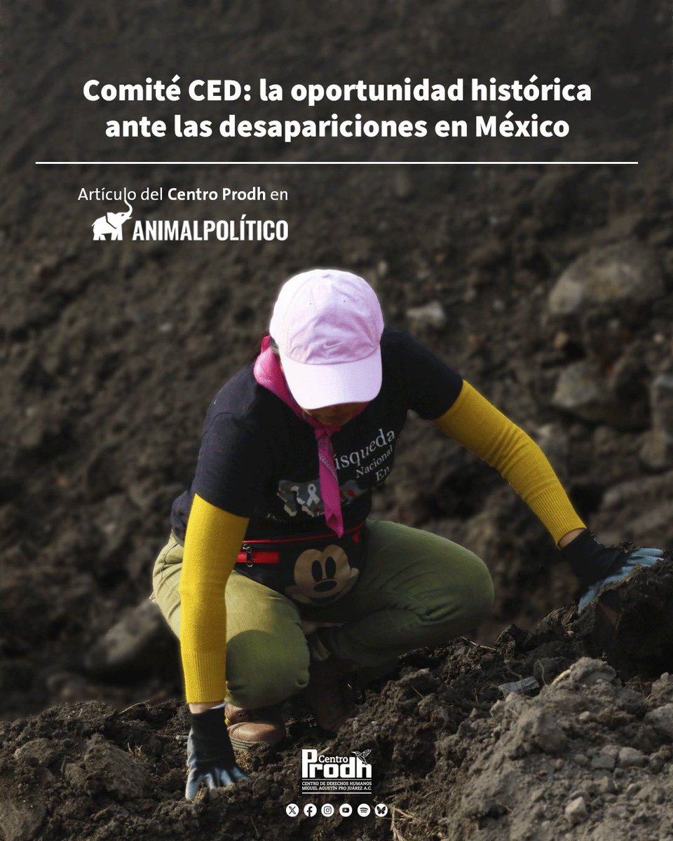 Centro Prodh tweet media