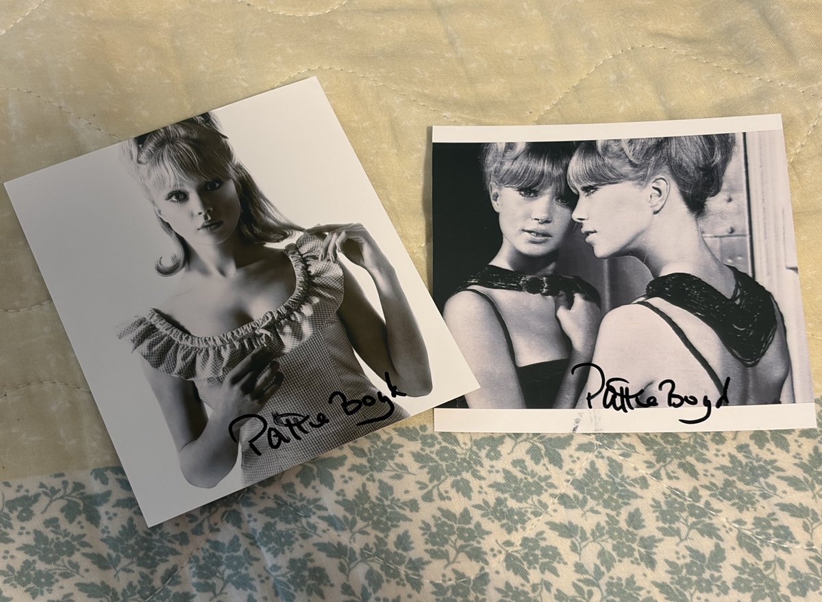 siah 🐦‍⬛ tweet media