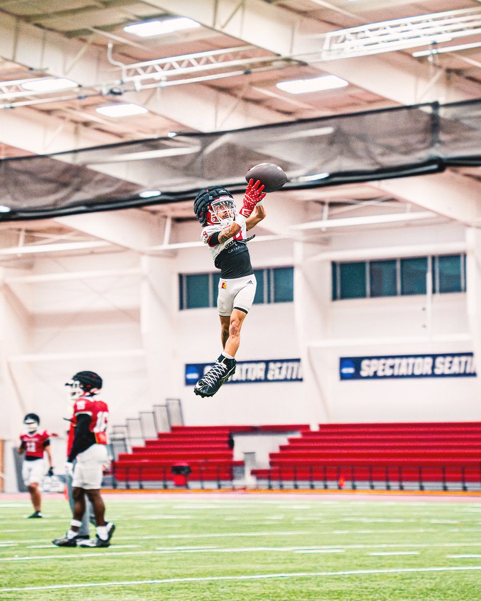 GorillasFB's tweet image. Tiny Tuesday 🦍

#OWNIT // #KOJ // #OAGAAG