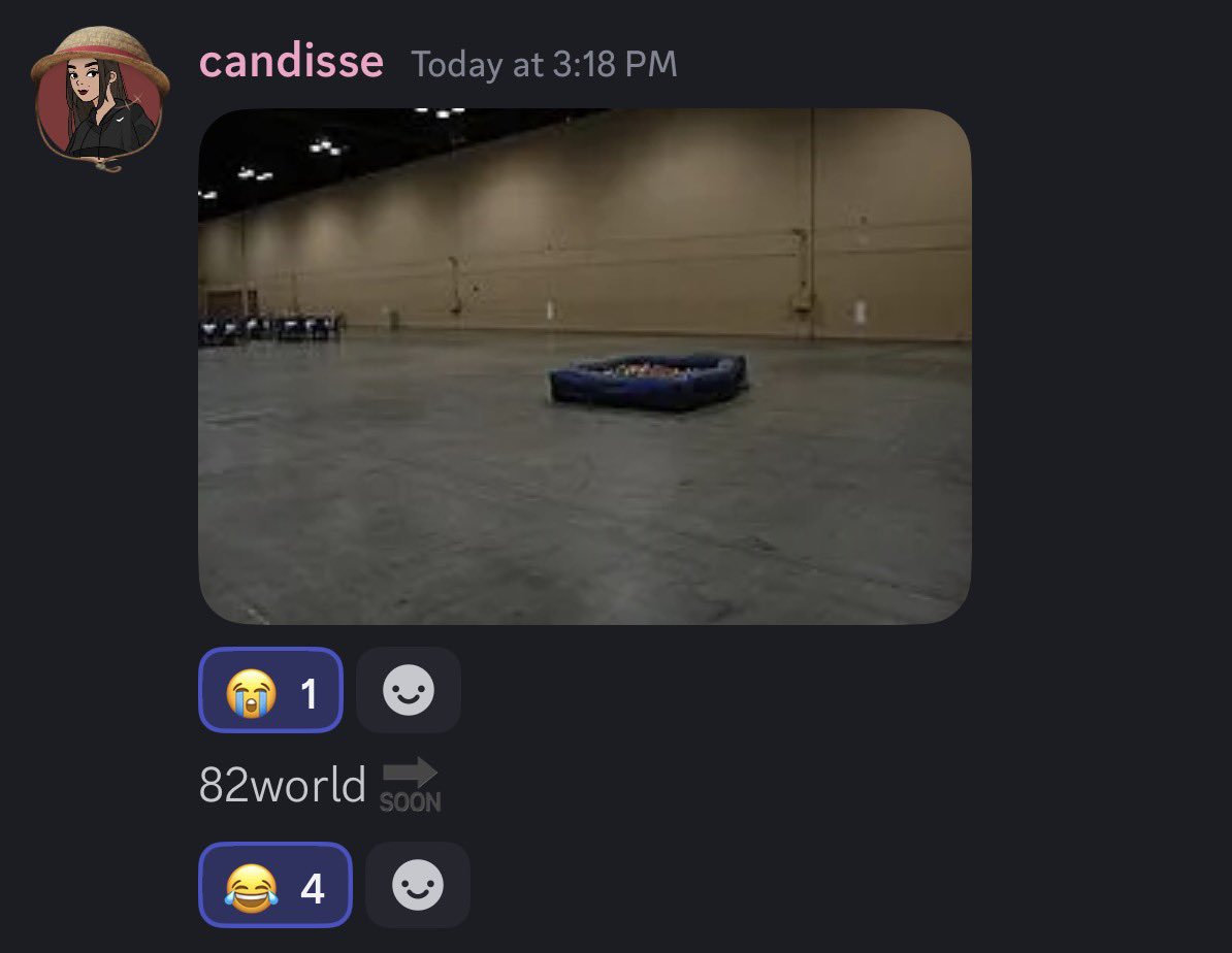 vik 🎮🕹️ tweet media