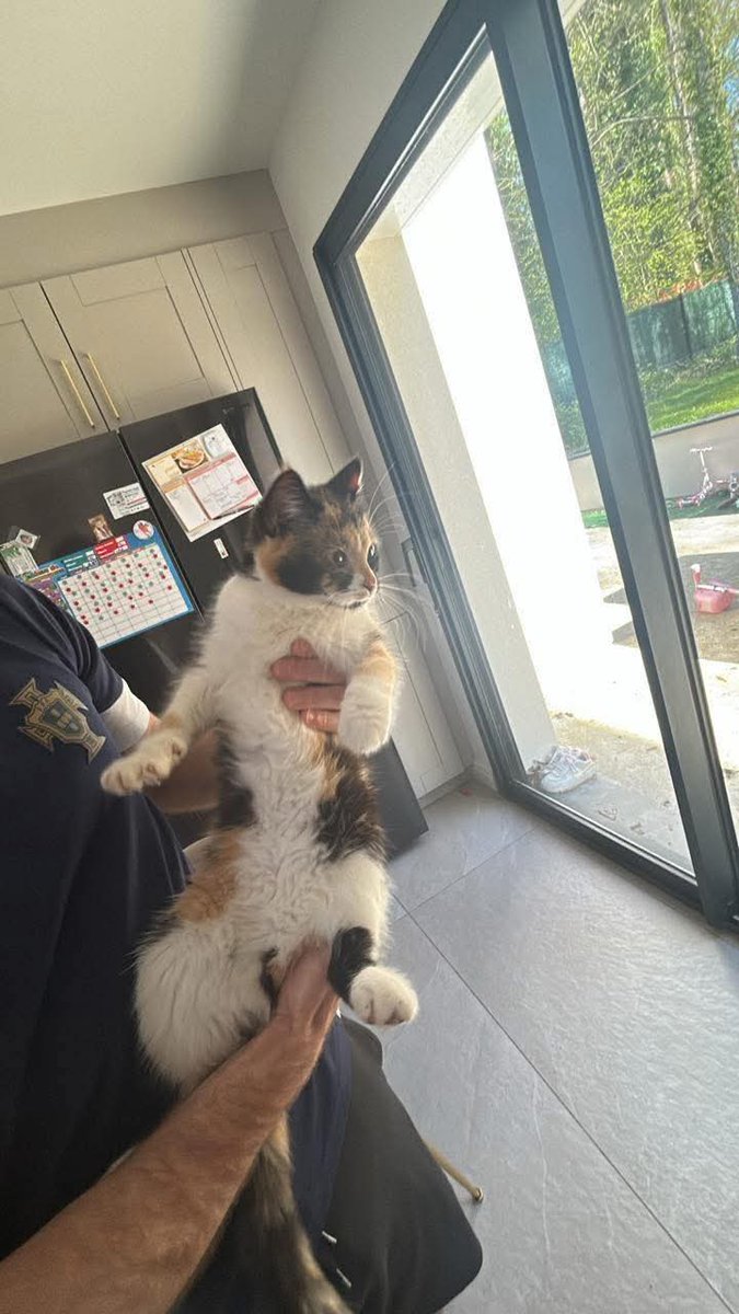 Adea Claude tweet media