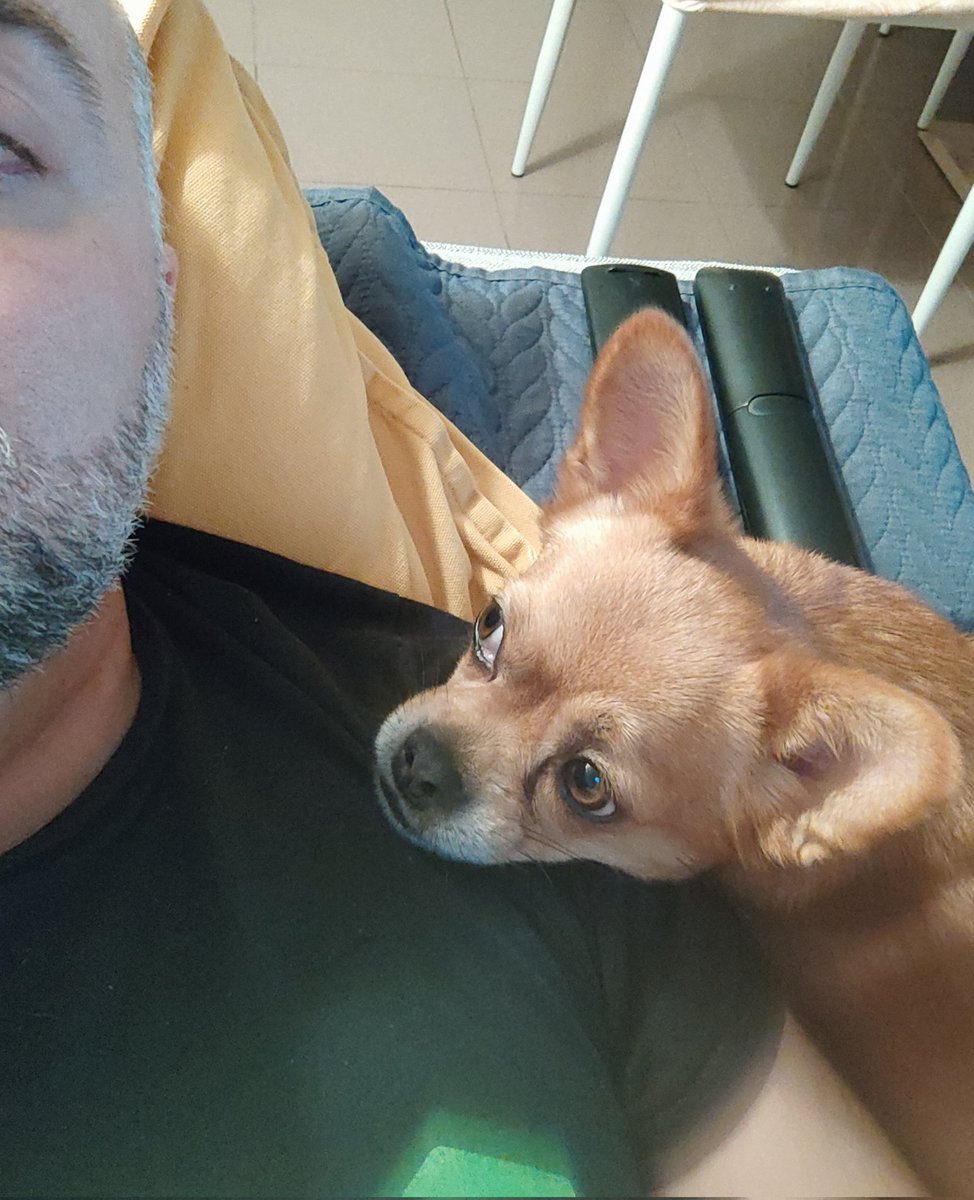 istotatudocomohádeir tweet media