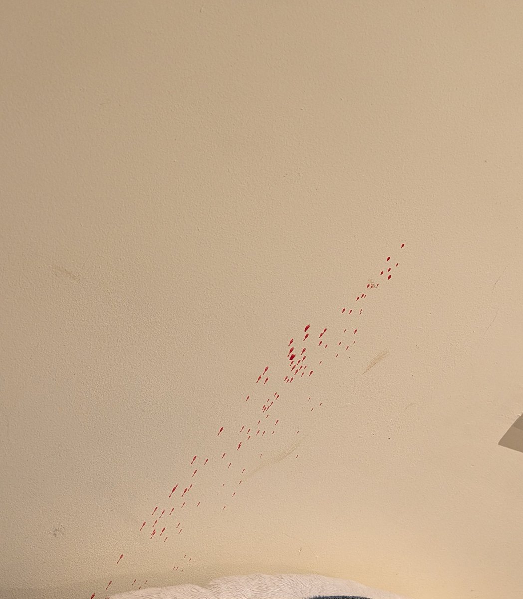 Axel ◇sh(ed)twt◇ tweet media