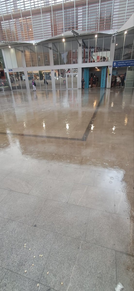 SOS SOL Y LETRAS tweet media