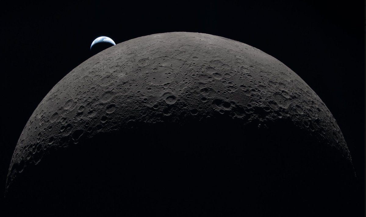 ابو دانتي - ماجد الحربي tweet media