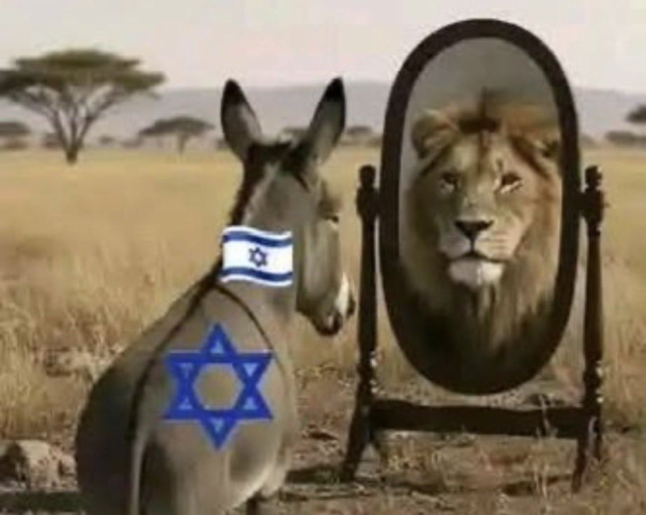 EN124 (bo'oel) tweet media