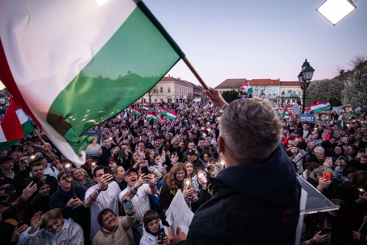 Tibor M. Kalman tweet media