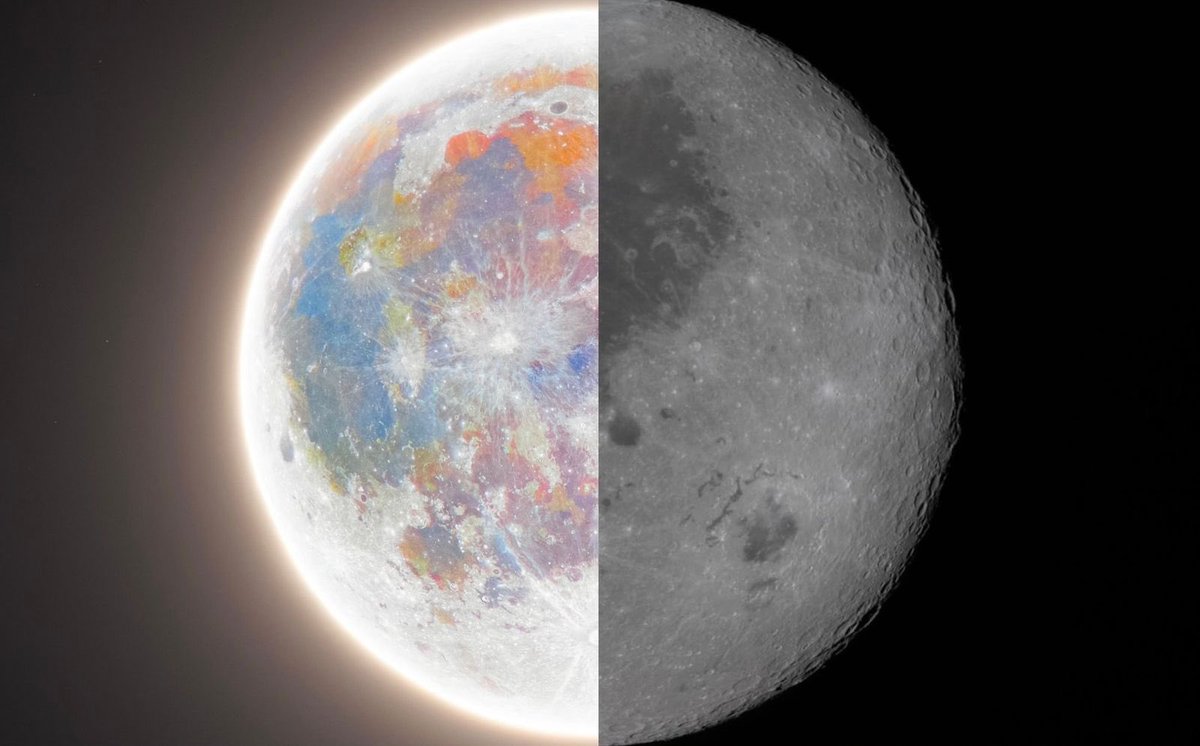 NyxSmols tweet media